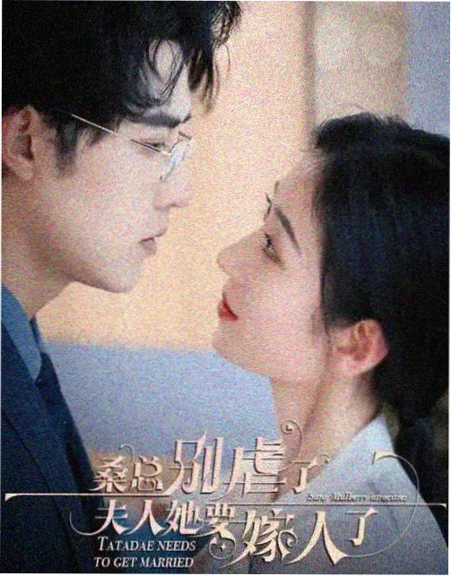 第七号档案封面